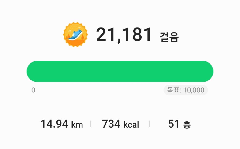 21181 걸음 확인