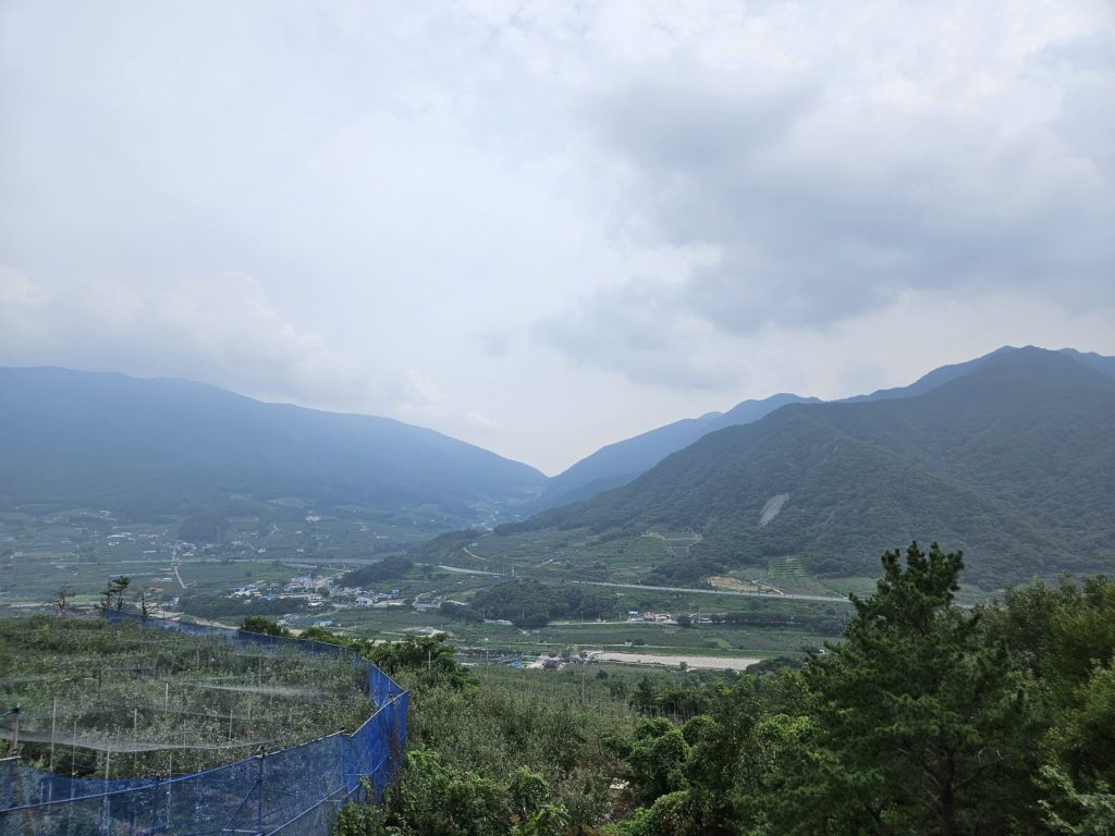 캠핑장에서 바라본 주변 산 풍경