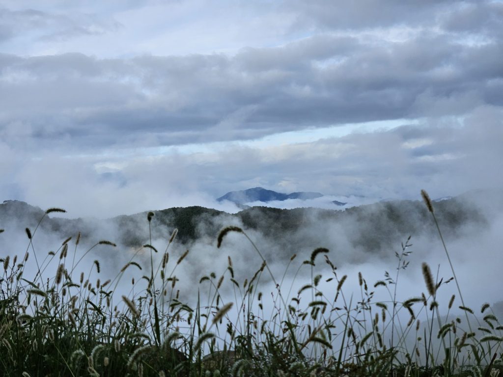 황매산미리내파크오토캠핑장, 산책, 구름 깔린 황매산