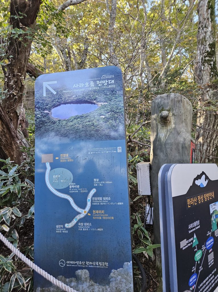 한라산 등산, 성판악 등산길, 정상으로 가는 길과 사라오름으로 가는 길의 갈림길