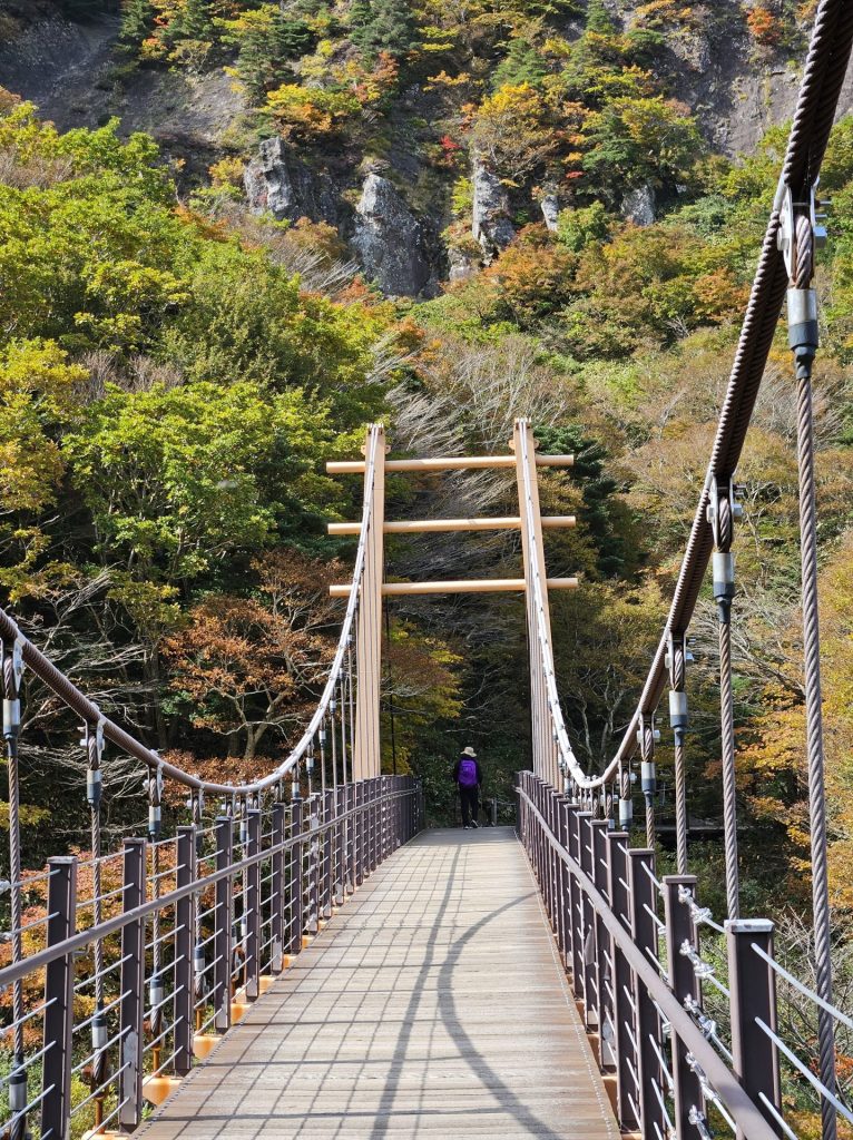 한라산 하산, 관음사 코스, 다리, 포토존
