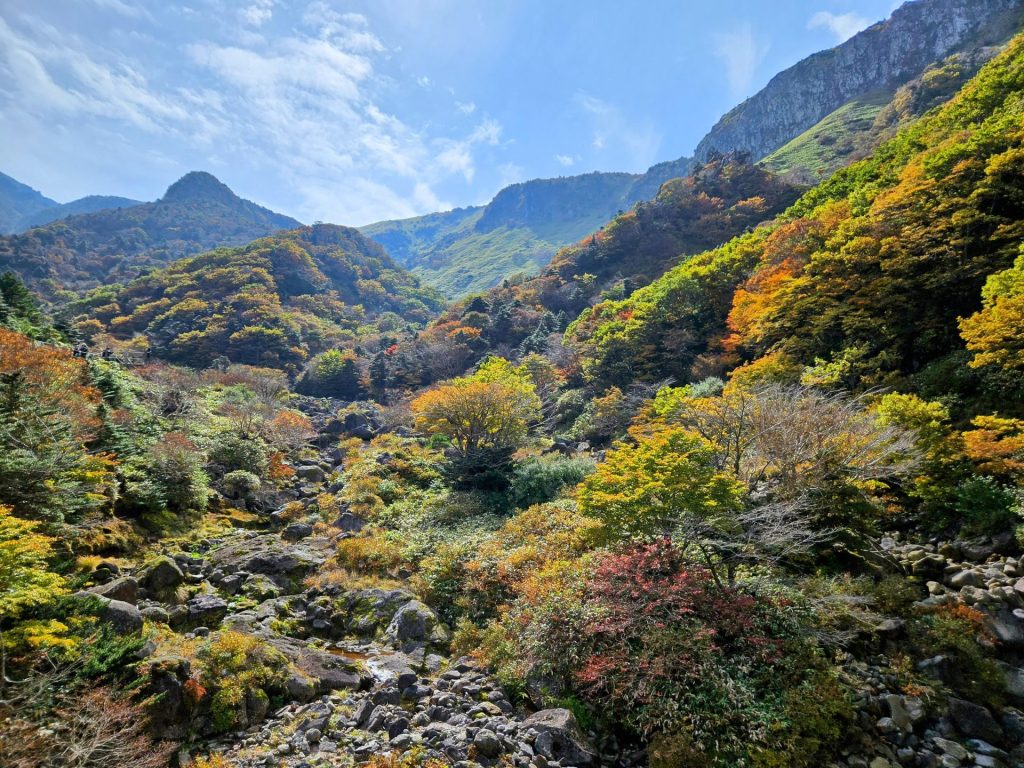 한라산 하산, 관음사 코스, 하라산 풍경