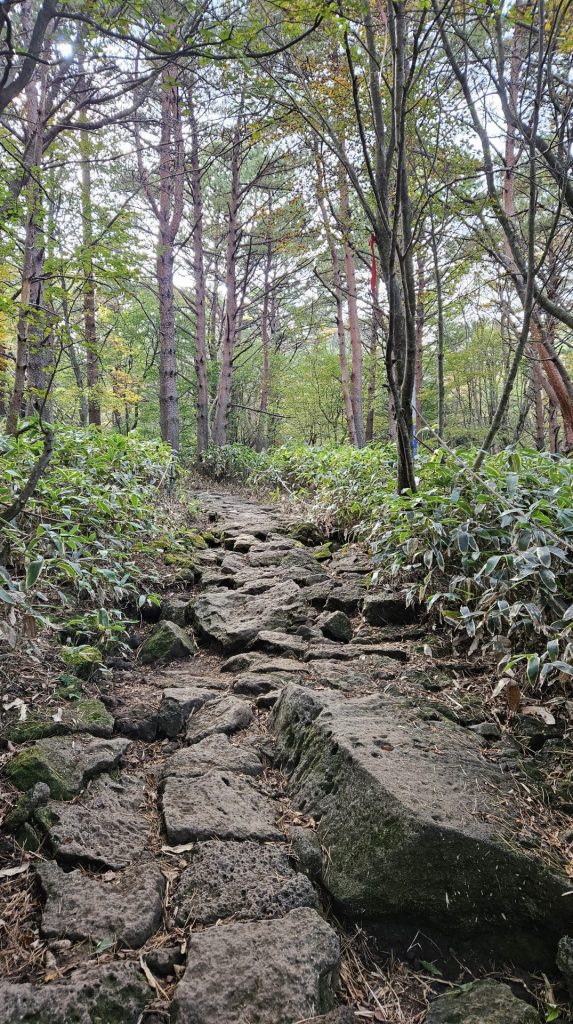 한라산 하산, 관음사 코스, 힘들었던 돌길