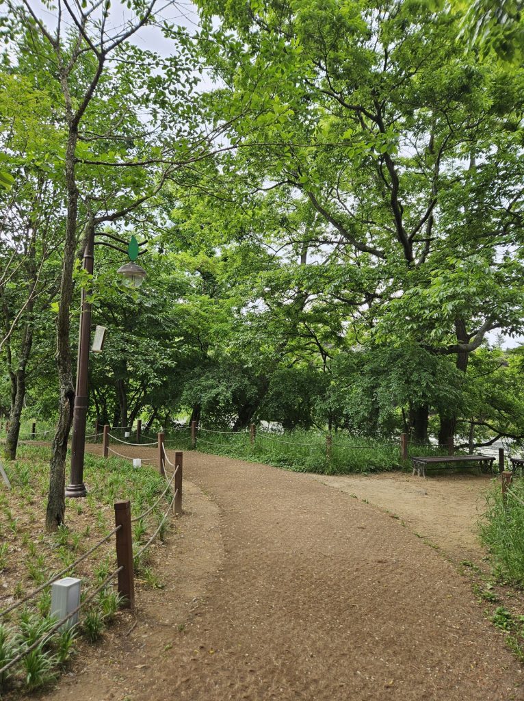 위양지, 처음 시작하는 길, 야자매트가 깔려 있어 푹신하다.